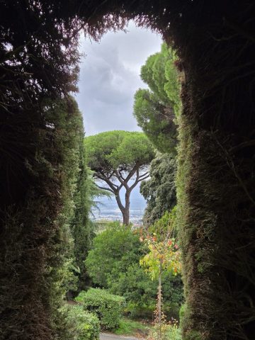 view through the shrubery-fence of Borgo Ladato Si' gardens toward the city of Rome